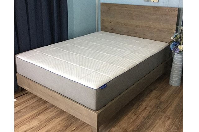 nectar mattress bed bugs