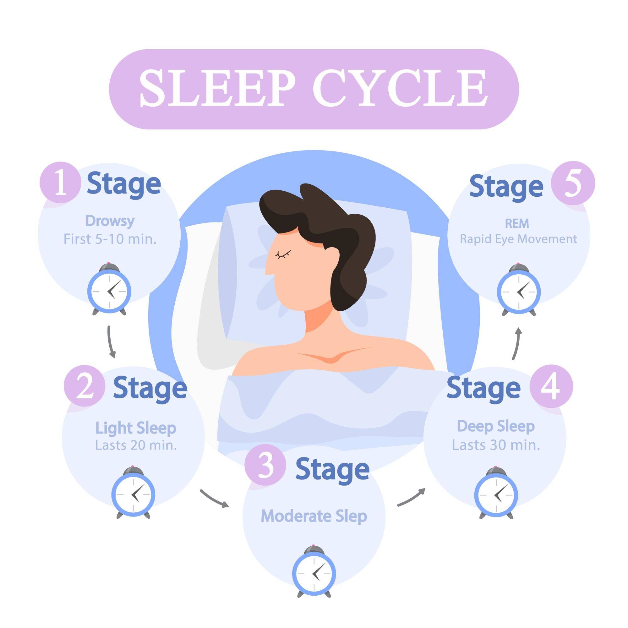 Everything You Need to Know About a Sleep Cycle Calculator - The Sleep ...