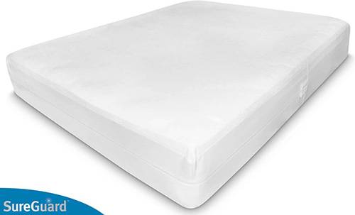 amazon dust mite mattress cover king