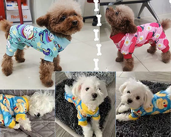 Buying the Best Dog Pajamas for Small Dogs Reviews 2024 - The Sleep Judge